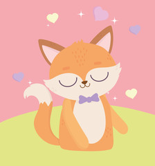 happy valentines day, cute fox with bow tie decoration cartoon