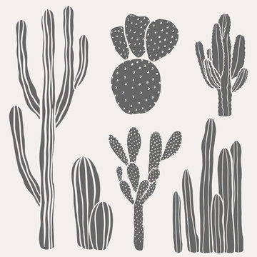 Hand drawn desert cactus set. Vintage, botanical vector illustrations.