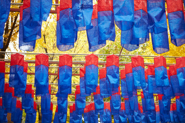 Korean lantern festival, maidenhair tree background 