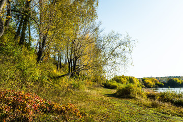 Naklejka premium Beautiful river in sunshiny morning. Autumn landscape.