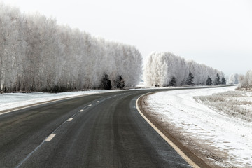 Highway among trees covered with thick hoarfrost.
