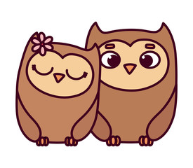 happy valentines day, cute couple owls love romantic