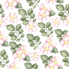 Pattern of wild rose flowers