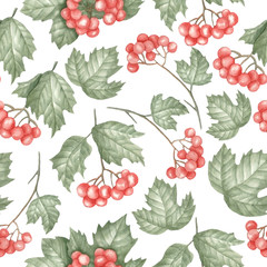 Viburnum pattern