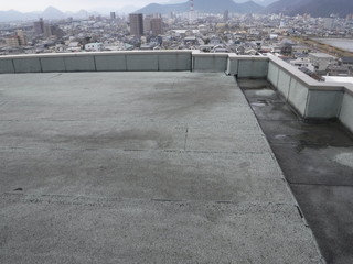 マンションの写真　屋上