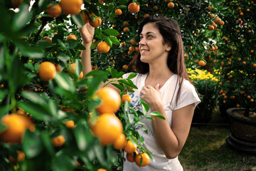Girl looking at citrus Japonica (mandarin) in the traditional Tet holiday (Lunar new year) in Vietnam, Asia