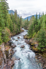 Majestic mountain river in Vancouver, Canada.