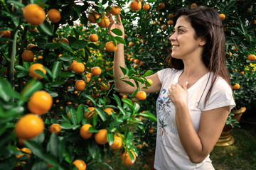 Girl looking at citrus Japonica (mandarin) in the traditional Tet holiday (Lunar new year) in Vietnam, Asia
