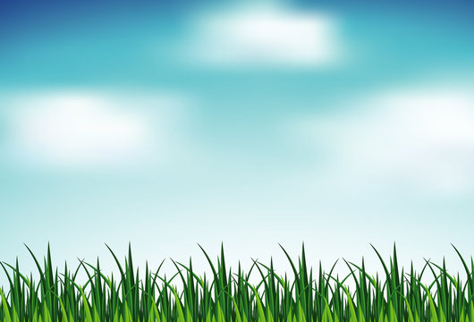 Background scene with green grass and blue sky
