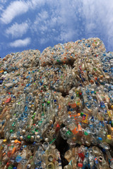 Plastic bottles collected for recycling 