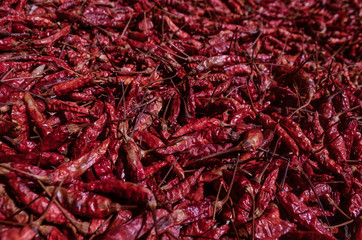 Fototapeta premium dried red hot chili peppers pattern 