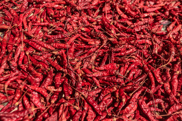 Fototapeta premium dried red hot chili peppers