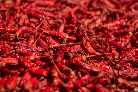 macro dried red hot chili peppers