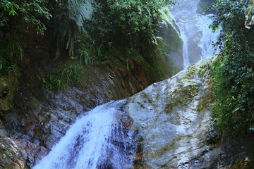 naturaleza y vida para el planeta © mauricio