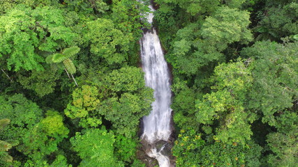 naturaleza y vida para el planeta © mauricio