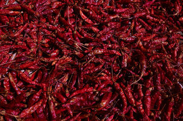 dried red hot chili peppers background