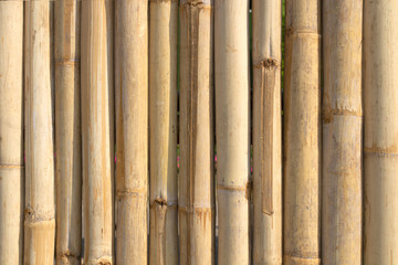 brown tone bamboo plank fence texture for background