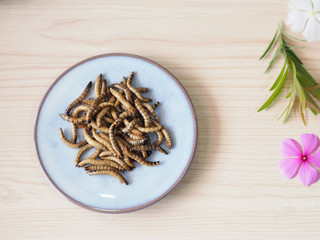 Worm fried animal protein source a meal for appetizer