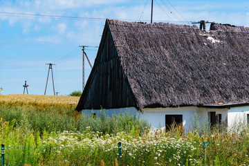 One old thatched cottage in field © anetlanda