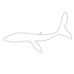 Obraz na płótnie Canvas Whale one line drawing on white background vector illustration