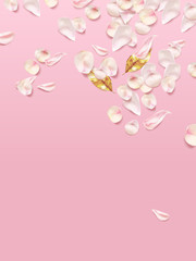 Pink rose petals and golden leaves on pink background. Realistic Vector illustration.