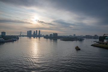 Obraz premium Panorama Rotterdamu o wschodzie słońca
