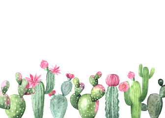 Watercolor hand painted exotic cactus