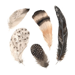 Watercolor boho colorful feathers set