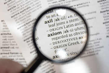 The word of phrase - axiom - in a dictionary.