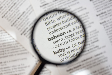The word of phrase - baboon - in a dictionary.