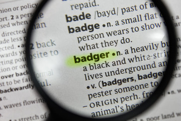 The word or phrase badger in a dictionary.