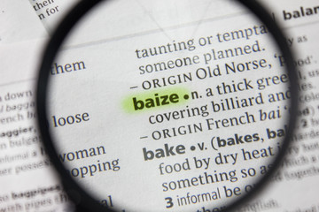 The word or phrase baize in a dictionary.