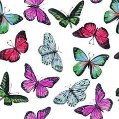 Watercolor print of different types of butterfly on a white background. Pattern for fabric, wrapping paper, wallpaper. Multi-colored print. Seamless pattern.