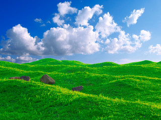 Fototapeta na wymiar Blue sky and grass