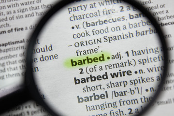 The word or phrase barbed in a dictionary.