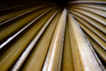 Abstract image of yellow dry Palm leaves in nature background