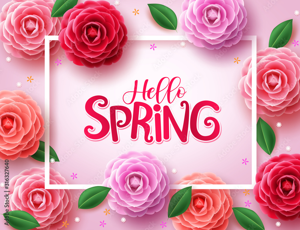 Aufkleber spring vector background. hello spring greetings text with various colors of camellia flowers and gr