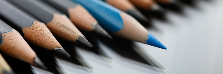 Blue pencil spy between black pencils segmentation closeup. Sexual minorities in society concept
