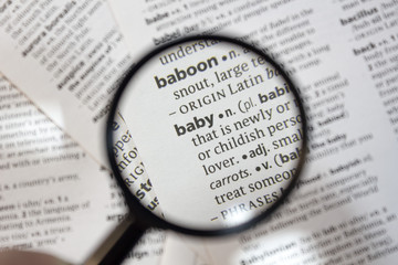The word of phrase - baby - in a dictionary.