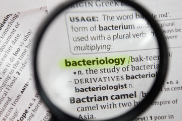 The word or phrase bacteriology in a dictionary.