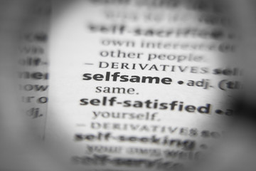 Word or phrase selfsame in a dictionary.