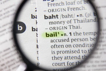 The word or phrase bail in a dictionary. - 316328823