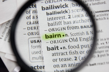 The word or phrase bairn in a dictionary.