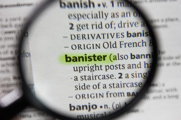 The word or phrase banister in a dictionary.