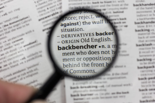 The word or phrase backbencher in a dictionary.