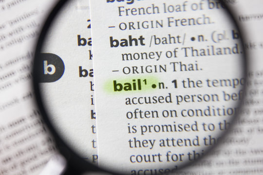 The word or phrase bail in a dictionary.
