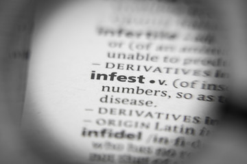 Word or phrase infest in a dictionary.