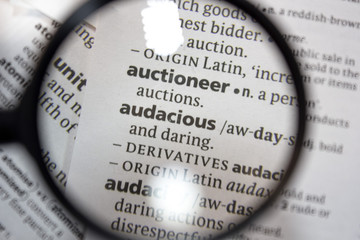 The word of phrase - audacious - in a dictionary.