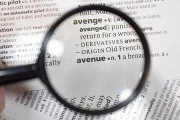 The word of phrase - avenue - in a dictionary.