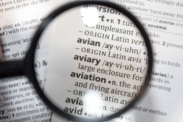 The word of phrase - aviary - in a dictionary.